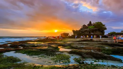 Temple & Hot spring Escape