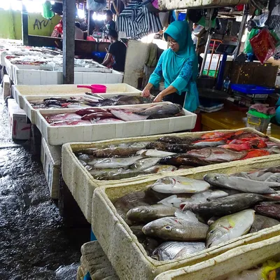Discovering Kedonganan Fish Market in Jimbaran Bali