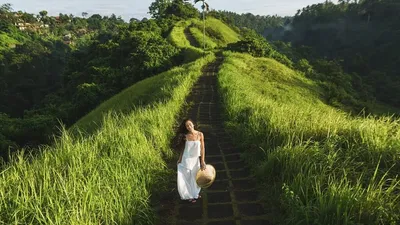 Whispers of the Jungle – Ubud Honeymoon Escape